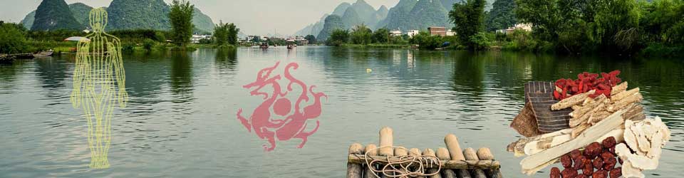 Dao Wissen - Mensch & Natur